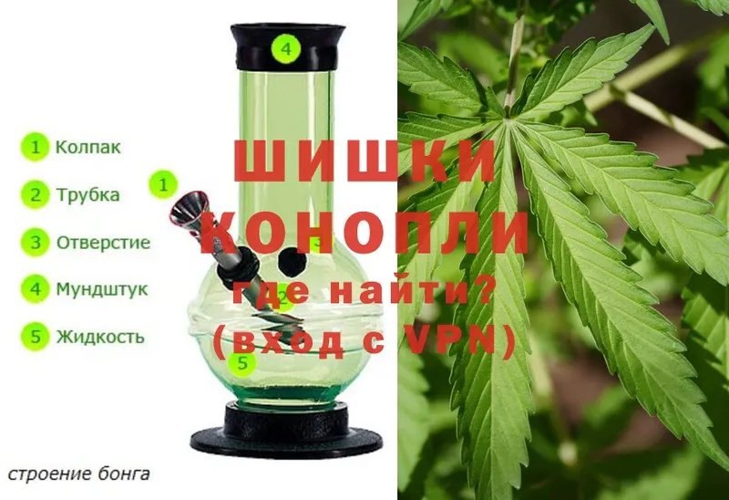 Конопля White Widow  Болхов 